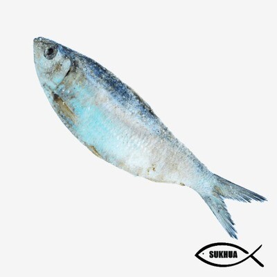 Dried Sardine