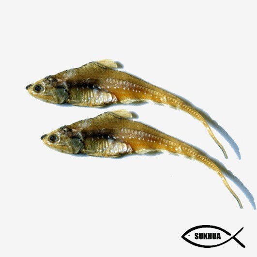 Dried Golden Anchovy