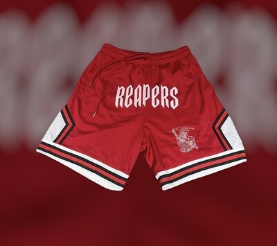 Chicago Bulls x Reaper Gang Shorts