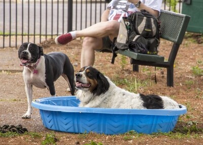 Cherokee Dog Park