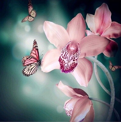 Diamond Painting Vlinders Orchidee