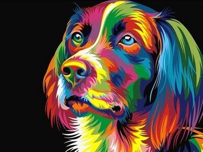 Diamond Painting Hond Kleurrijk