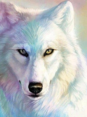 Diamond Painting Witte Wolf