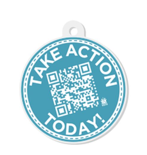 Take Action Keychain Take Action Keychain
