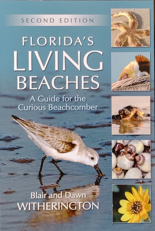Florida&#39;s Living Beaches 2nd Edition