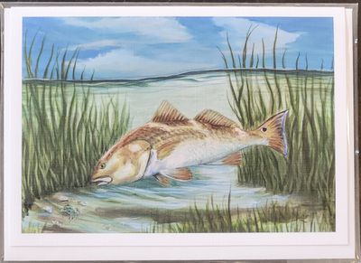 Card Redfish Jimmy Lane