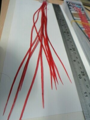 Blood Red Hackle