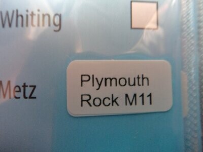 Plymouth Rock Hackles