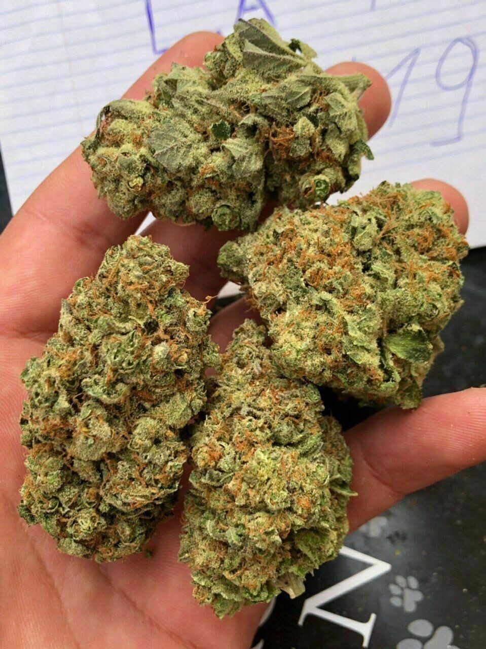 Reckless Rainbow kush