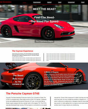 &quot;Cayman Conversions&quot;