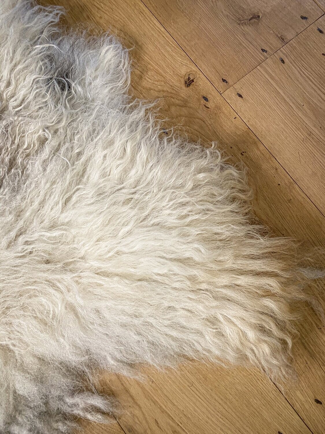 Natural Felted Wool Rug 133