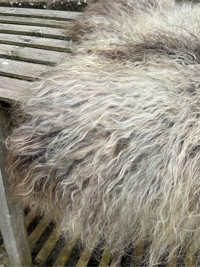 Icelandic Felted Fleece Sheep Rug - 130