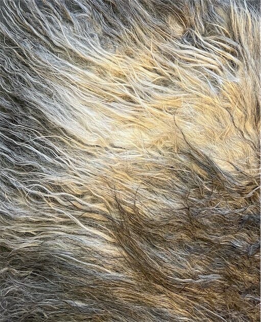 Icelandic Felted Fleece Rug - 146