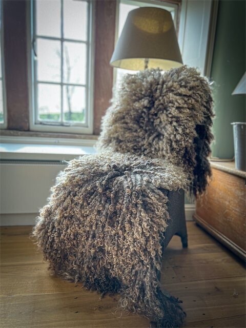 Felted Long Wool Rug - 223