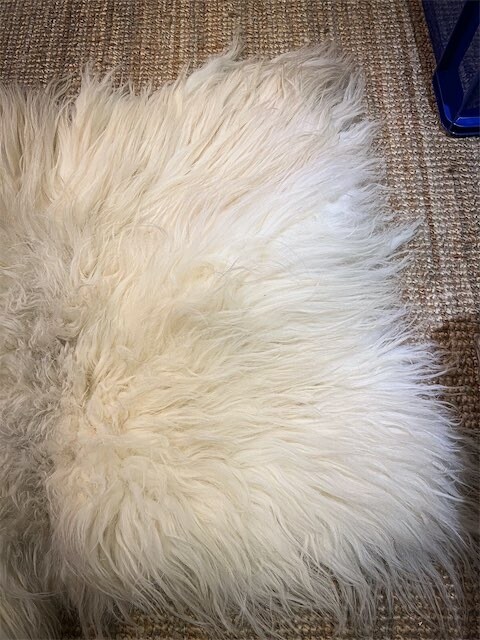 Rough Fell Felted Rug - 231