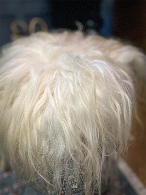 Felted Fleece Seat Cover - 278