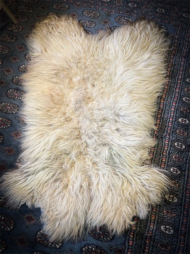 Authentic Icelandic Felted Fleece Rug - 289