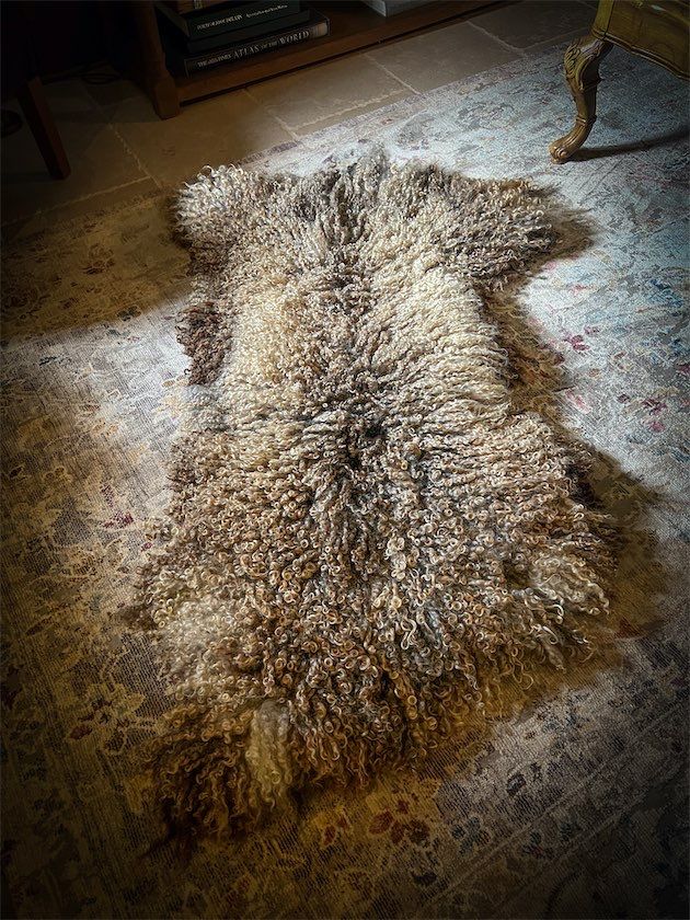 Fleece Fleece Sheep Rug - 299
