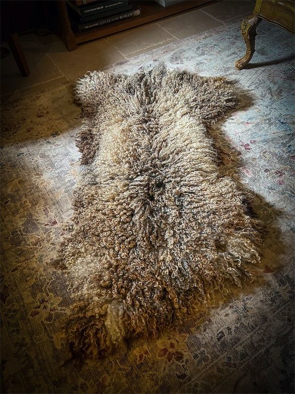 Fleece Fleece Sheep Rug - 299