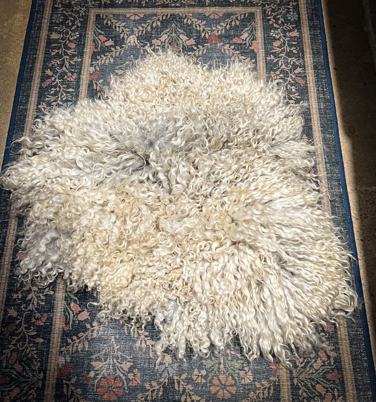 Gotland Felted Fleece Seat Pad  - 308