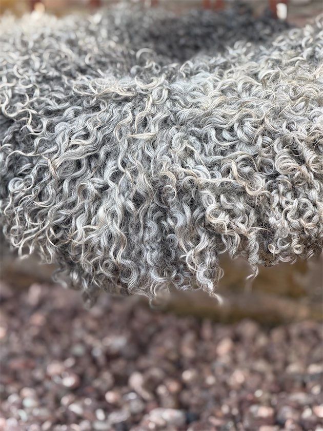 Gotland Felted Fleece - 326