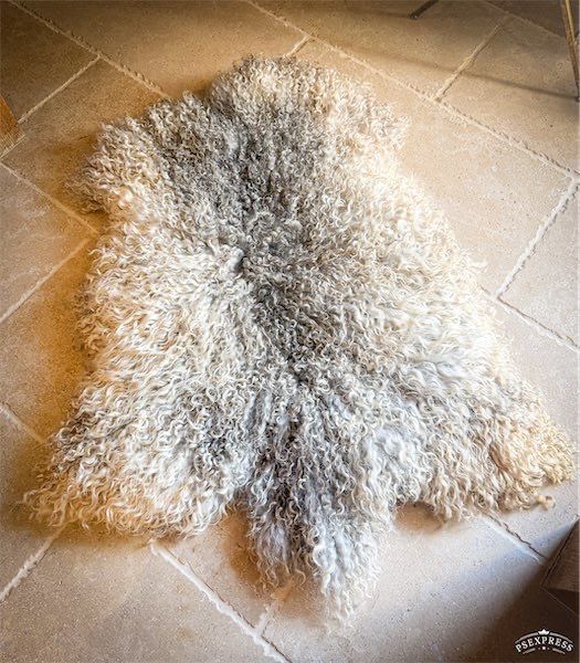 Gotland Felted Fleece Rug - 331