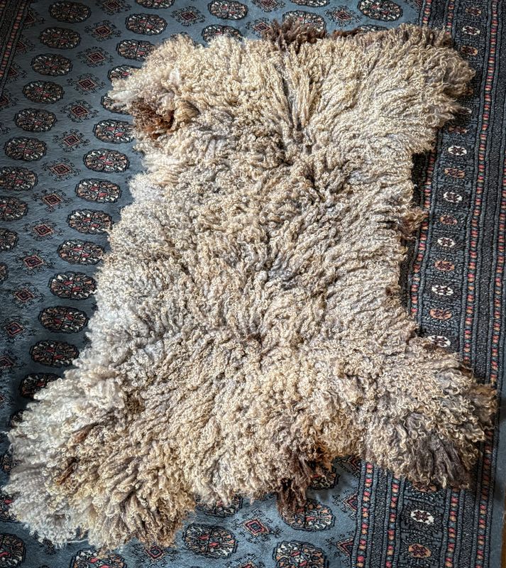 Leicester Longwool Heirloom Piece - 333