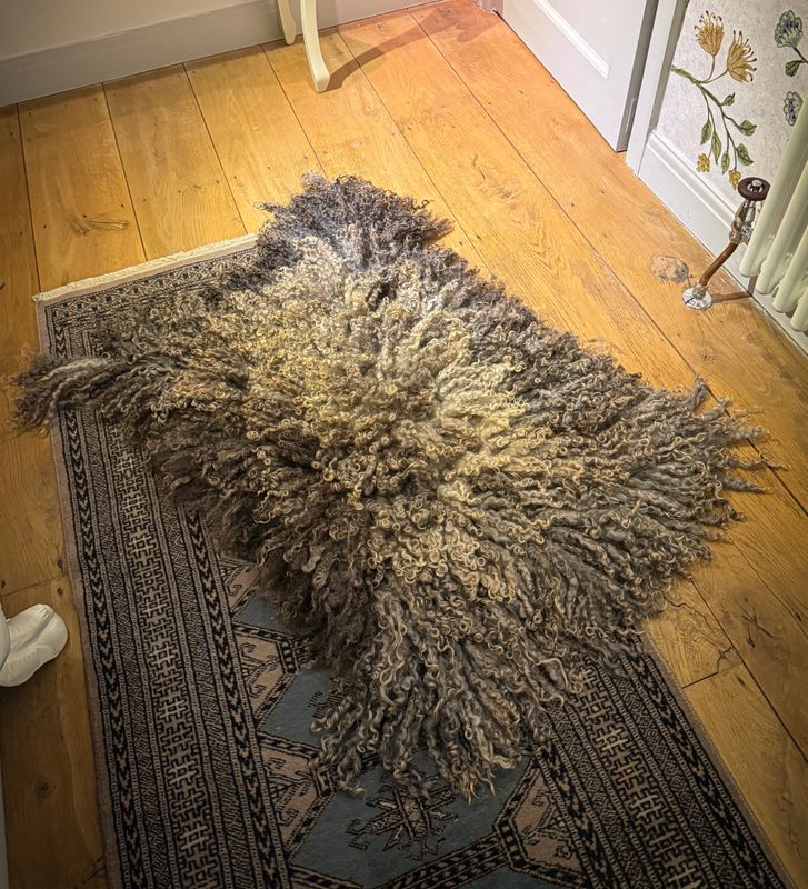 Cosy Felted Fleece Rug  -  346