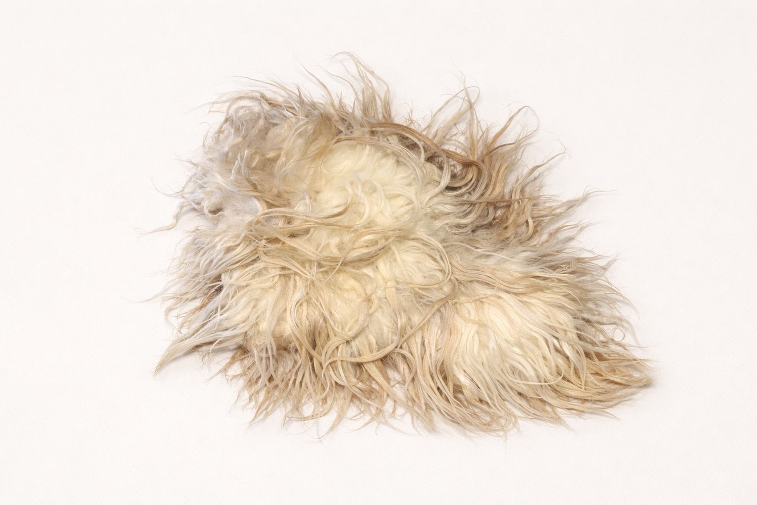 Beautiful wild Icelandic sheep rug