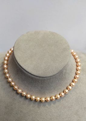 Collier choker perles de culture