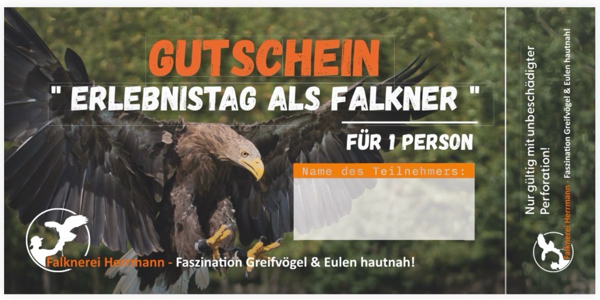 6 Inch Falkner Falknerei und Naturerlebniszentrum Herrmann Plauen Vogtland - Shop