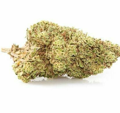 ORANGE BUD