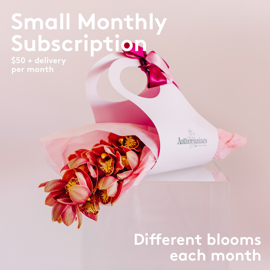 Small 3 Month Subscription