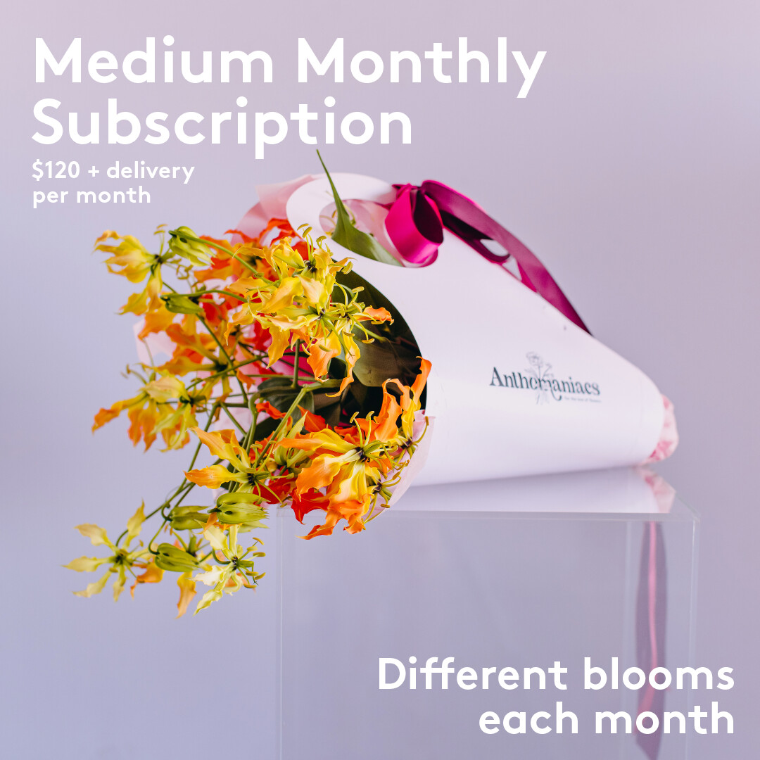 Medium 3 Month Subscription