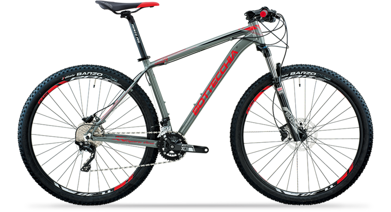 Bottecchia Gavia 29"