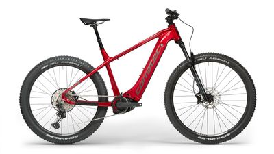 Electric Bikes