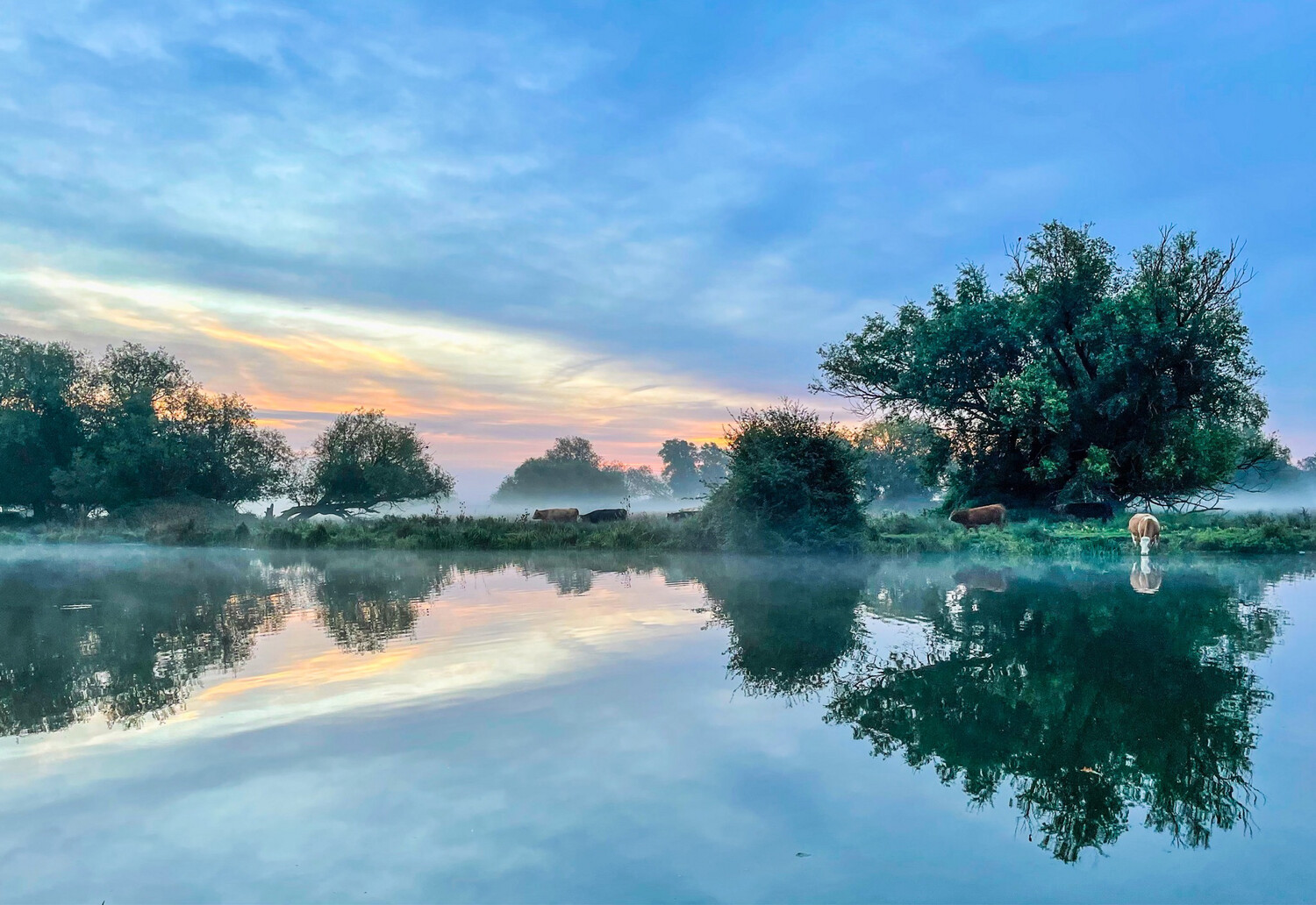 Fen Scenery in the River Great Ouse