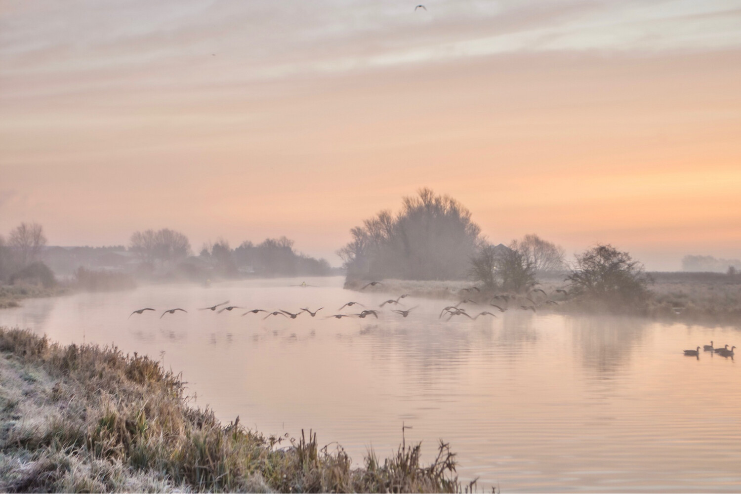 Pastel Winter Sunrise