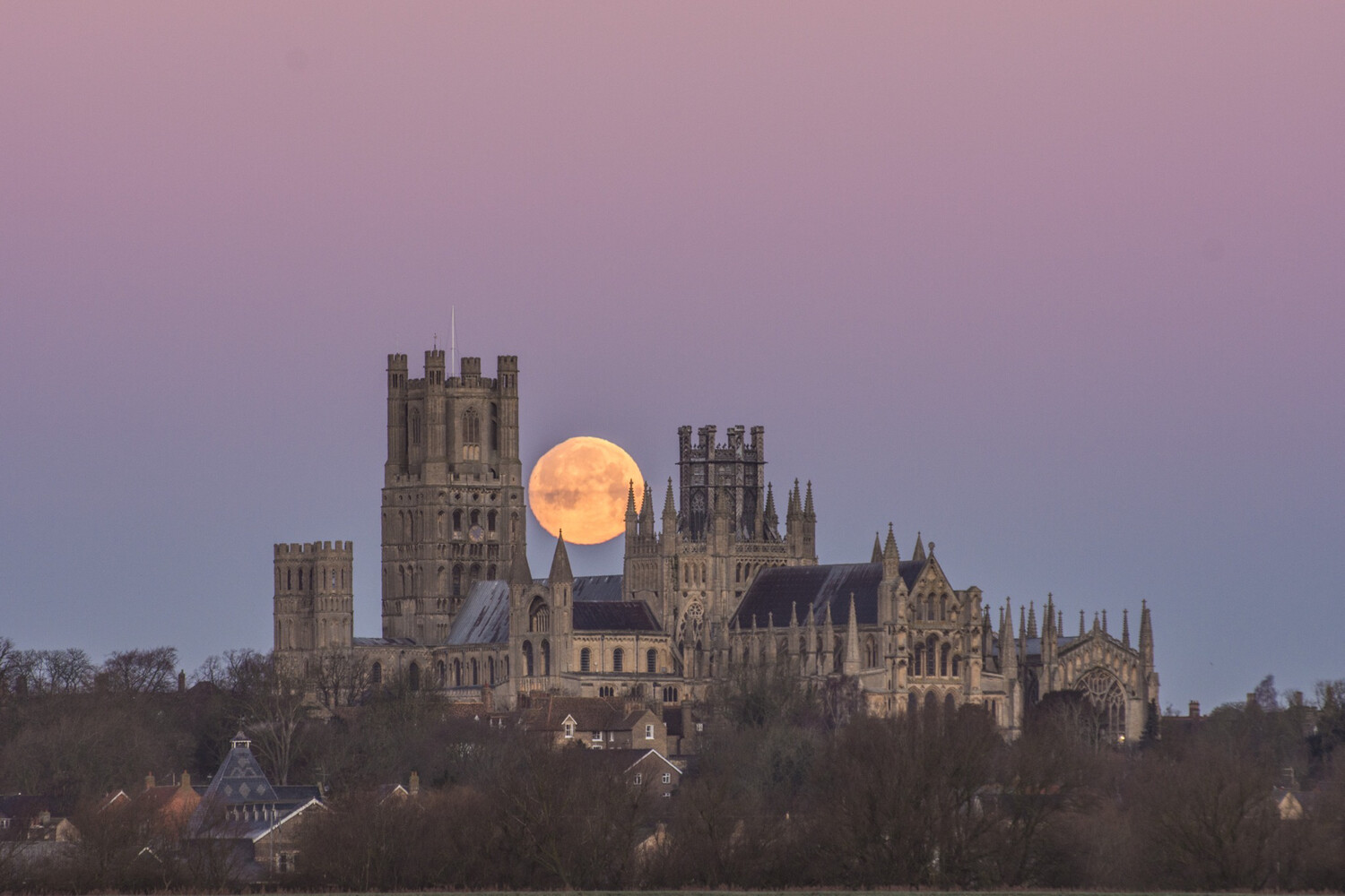 Wolf Full Moon Ely Cathedral 2022