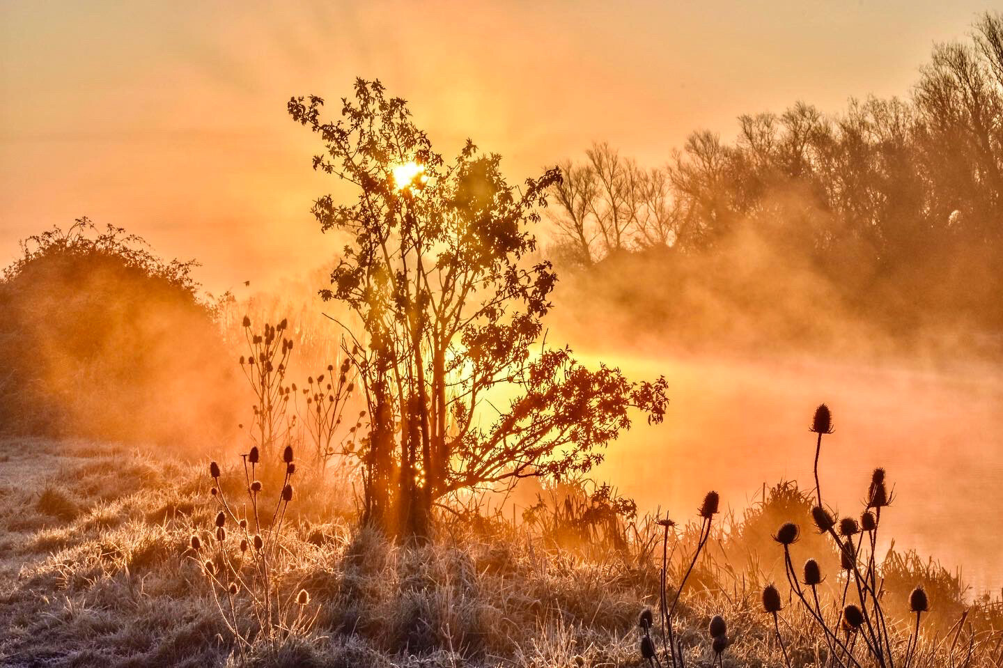 Bright Misty River
