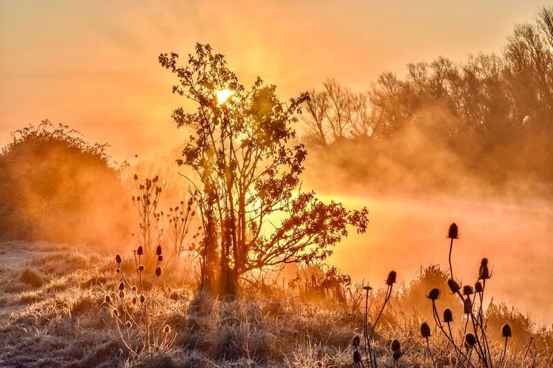 Bright Misty River