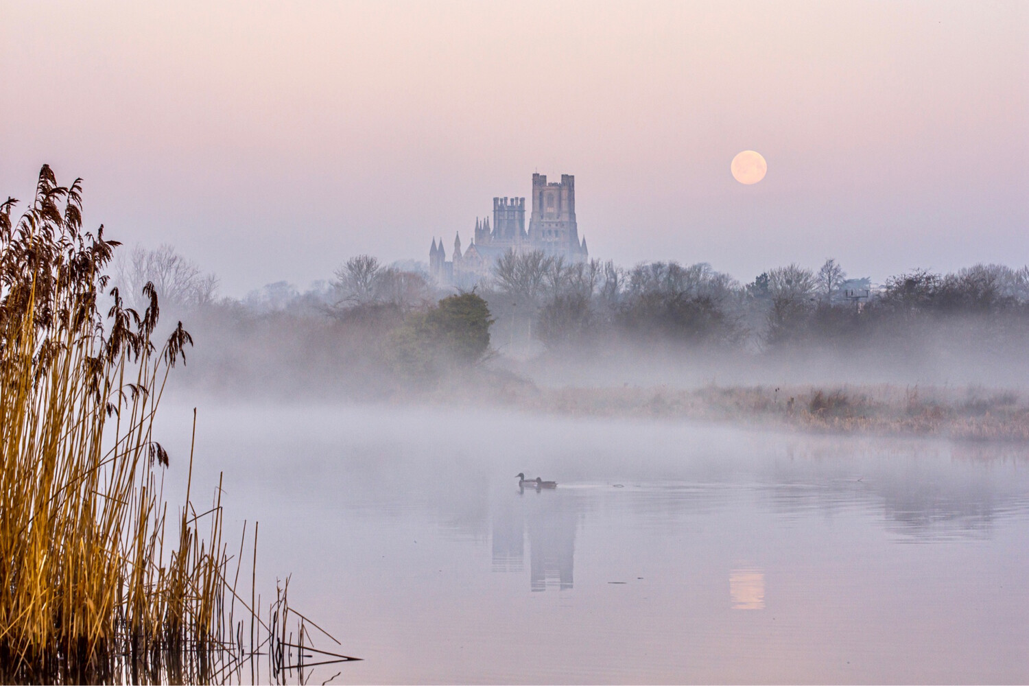 Ely Cathedral &amp; The Full Moon