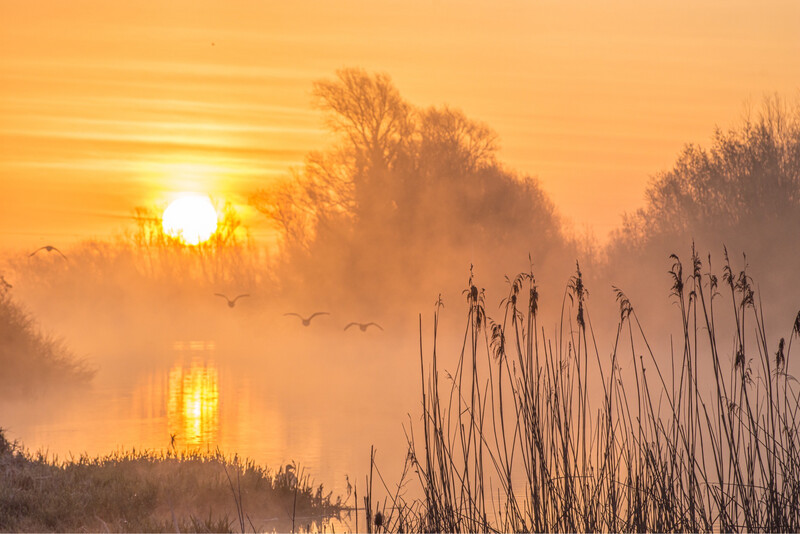 April Sunrise River Great Ouse