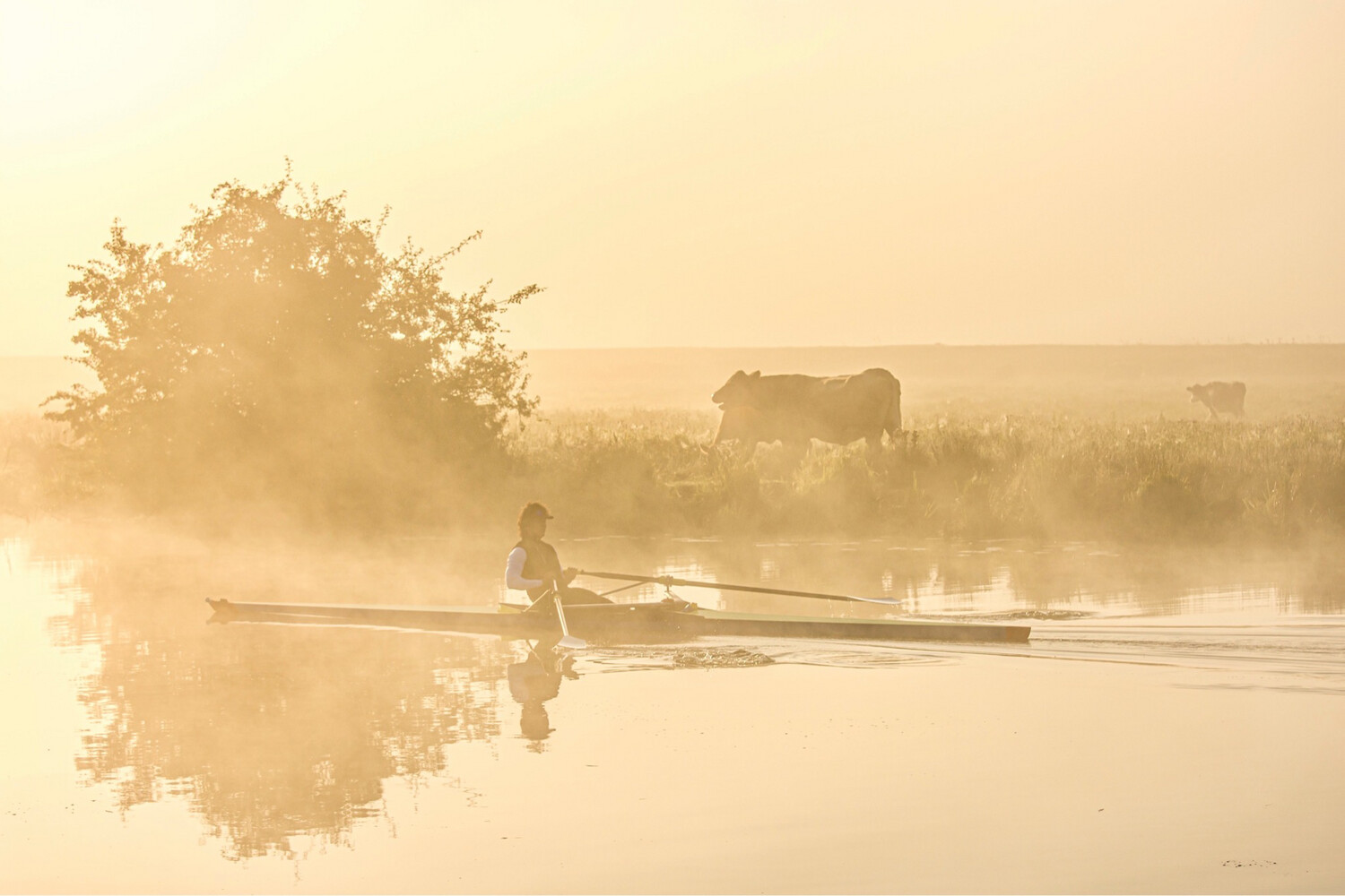 A Rower On A Misty River Great Ouse