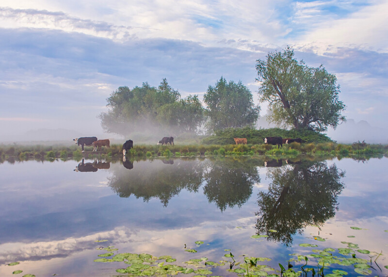 A Beautiful River Reflection