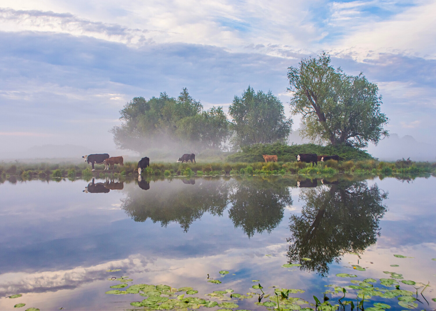 A Beautiful River Reflection