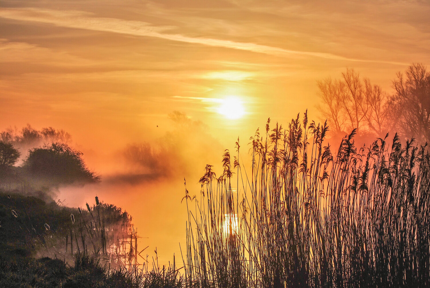 Spring Sunrise in the Fens