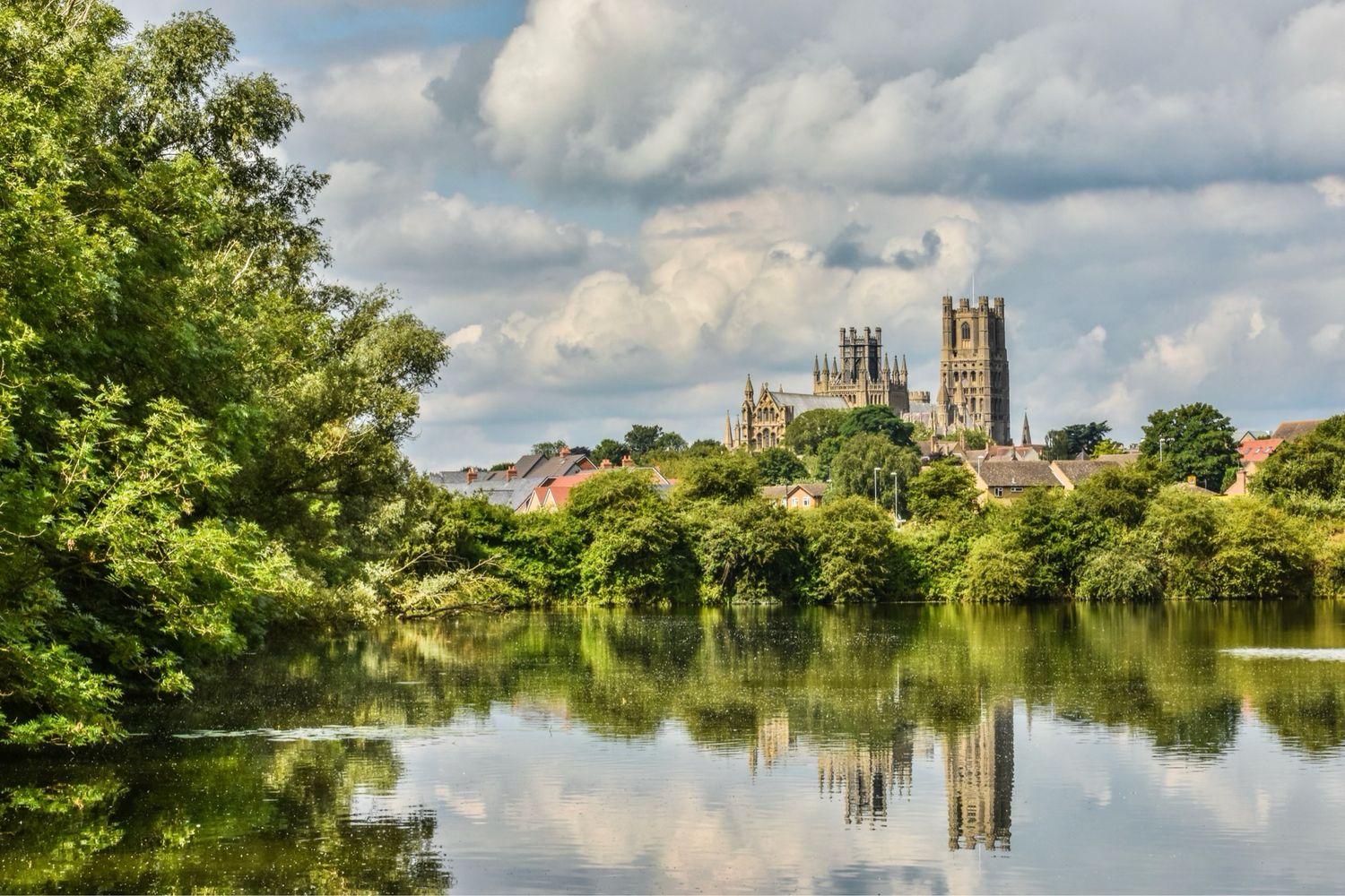 Summer Ely Country Park