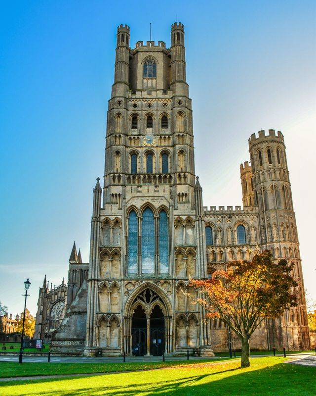 Ely Cathedral &amp; Autumn Tree