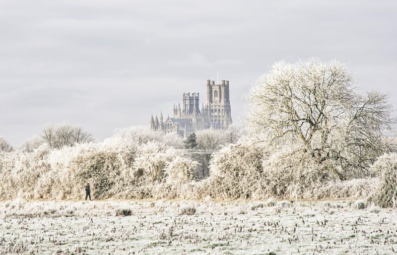 Ely Cathedral Winter Wonderland